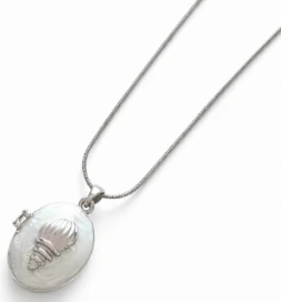 Cadena de acero quirurgico con dije caracol 40cm + 5cm